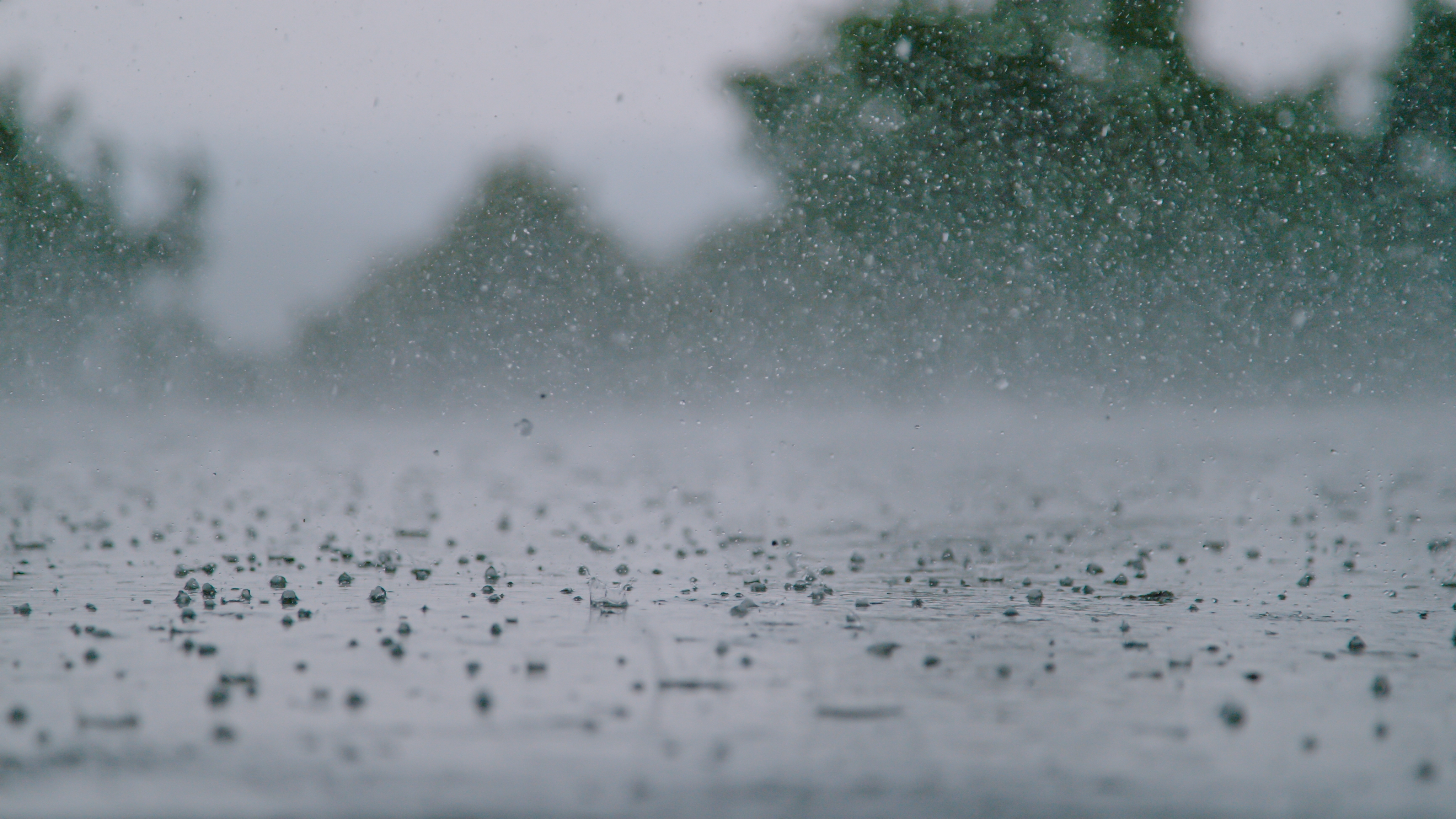 Professional auto hail damage repair service in Dallas Fort Worth Texas